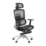 Ergonomic Office Chair ErgoNew A1F