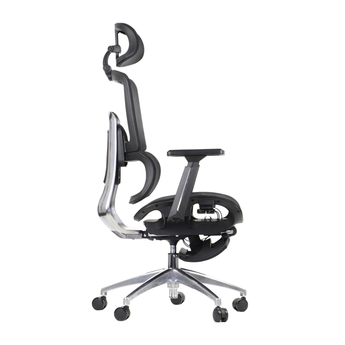 Ergonomic Office Chair ErgoNew A1F