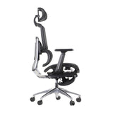 Ergonomic Office Chair ErgoNew A1F
