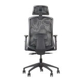 Ergonomic Office Chair Morton