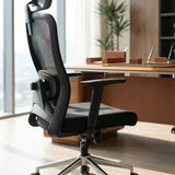 Ergonomic Office Chair Nexus