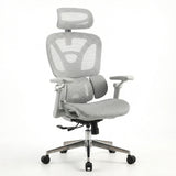 Ergonomic Office Chair Trek PLUS