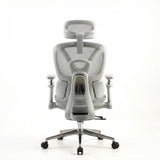 Ergonomic Office Chair Trek PLUS