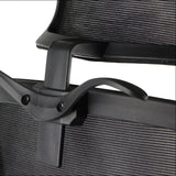 Ergonomic Office Chair Trent