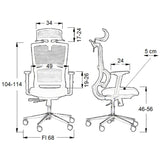Ergonomic Office Chair Trent