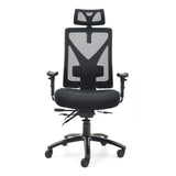 Ergonomic Office Chair TITAN