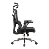 Ergonomic Office Chair Trek
