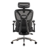 Ergonomic Office Chair Trek