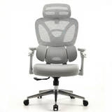 Ergonomic Office Chair Trek