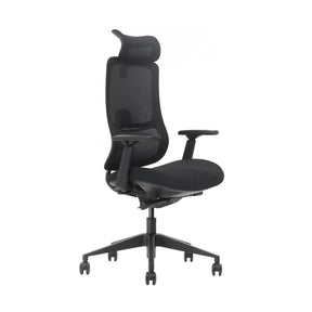The product is an ergonomic office chair, specifically the Valor model. The chair features a high backrest with a mesh design for breathability, adjustable armrests, and a comfortable seat. Its sleek black color and modern design make it suitable for various office environments.