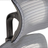 Ergonomic Office Chair Wister