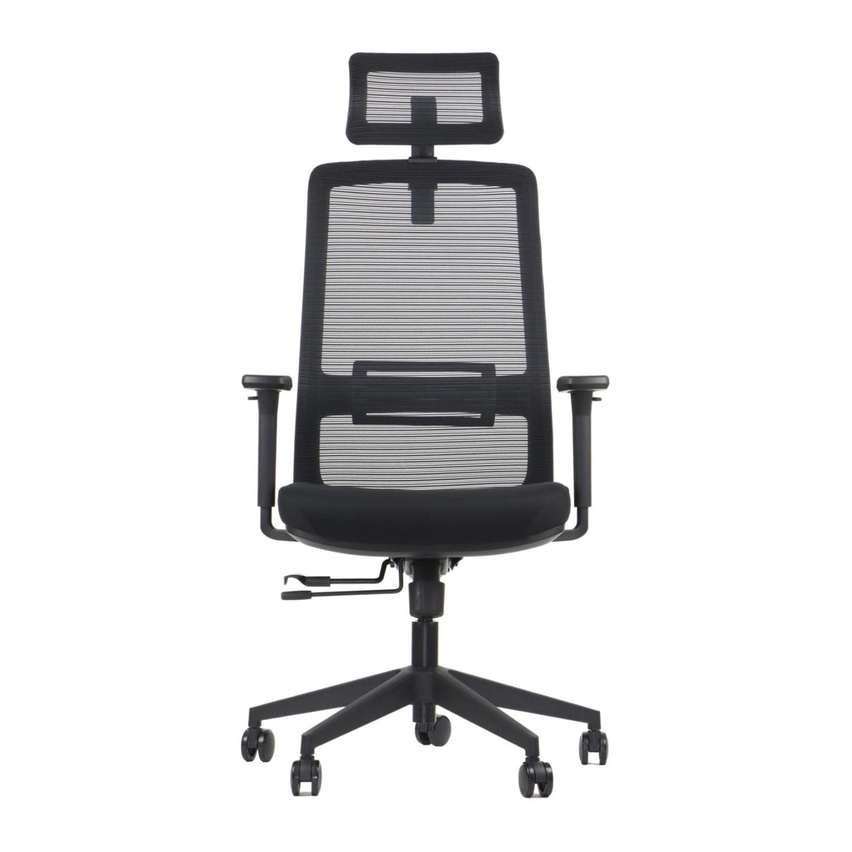 Ergonomic Office Chair Wister