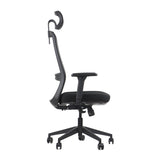 Ergonomic Office Chair Wister