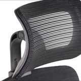 Ergonomic Office Chair Wister