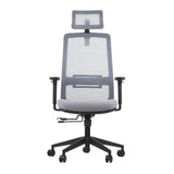 Ergonomic Office Chair Wister