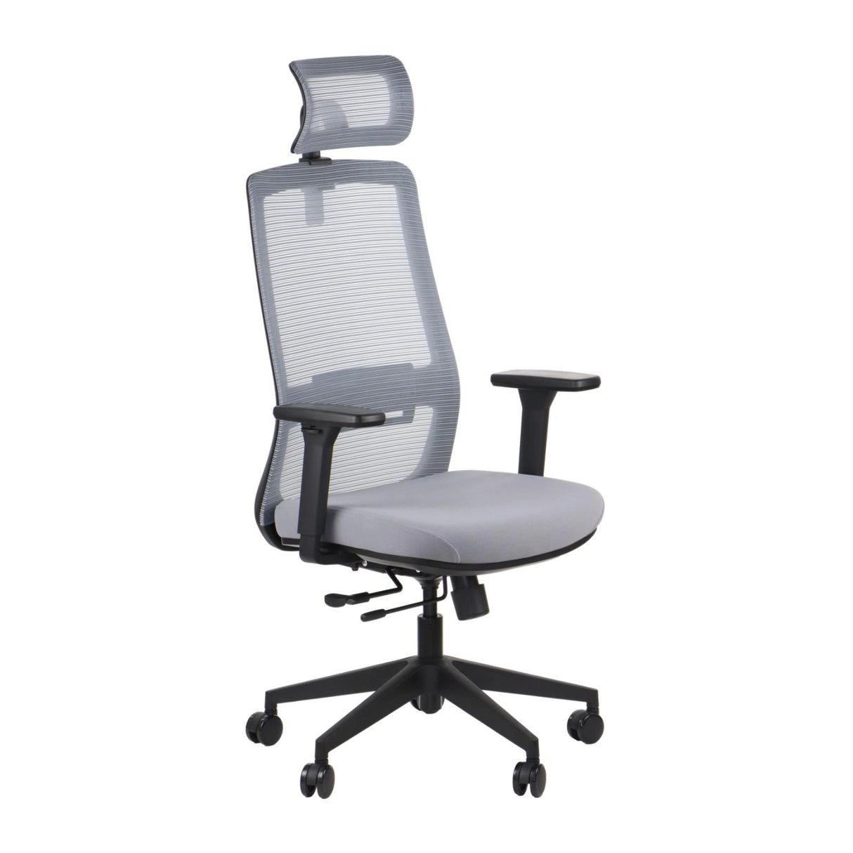 Ergonomic Office Chair Wister