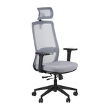 Ergonomic Office Chair Wister