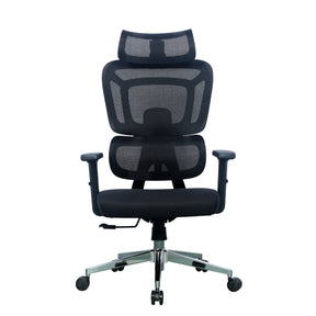 The product is an ergonomic office chair, specifically the Apollo model. The chair features a high mesh backrest for breathability, a padded seat, and adjustable armrests, all mounted on a chrome base with wheels for mobility. Its design emphasizes comfort and support for long hours of sitting.