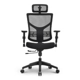 Ergonomic Chair ESSENT