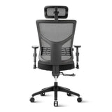 Ergonomic Chair ESSENT