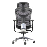 Ergonomic Chair ErgoNew S7