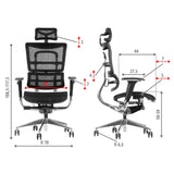 Ergonomic Chair ErgoNew S8