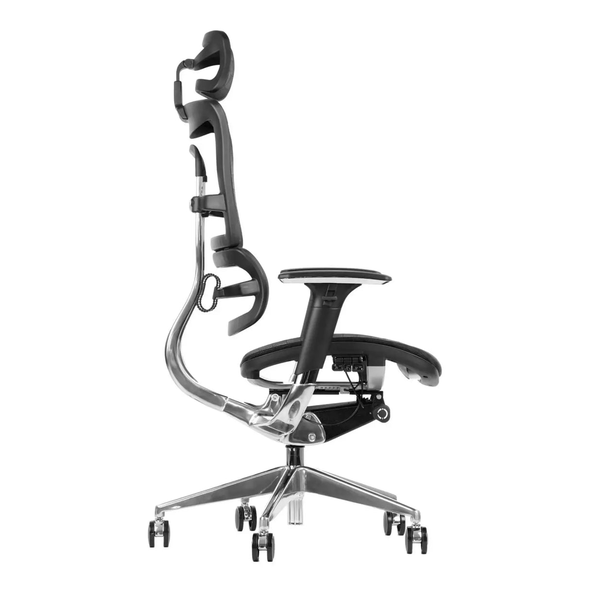 Ergonomic Chair ErgoNew S8