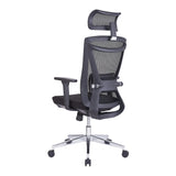 Ergonomic Chair TAURUS