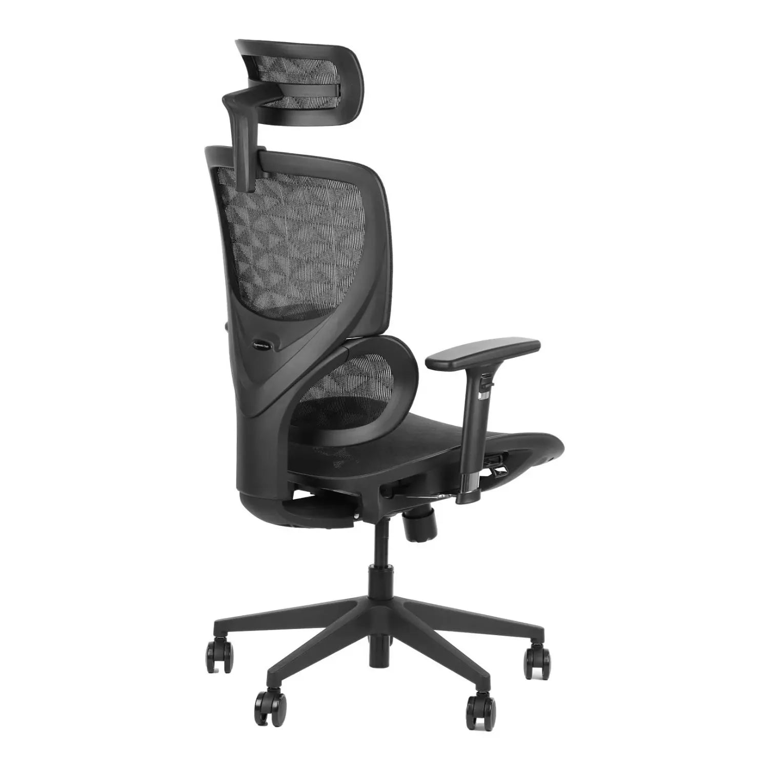 Ergonomic Office Chair ErgoNew S1