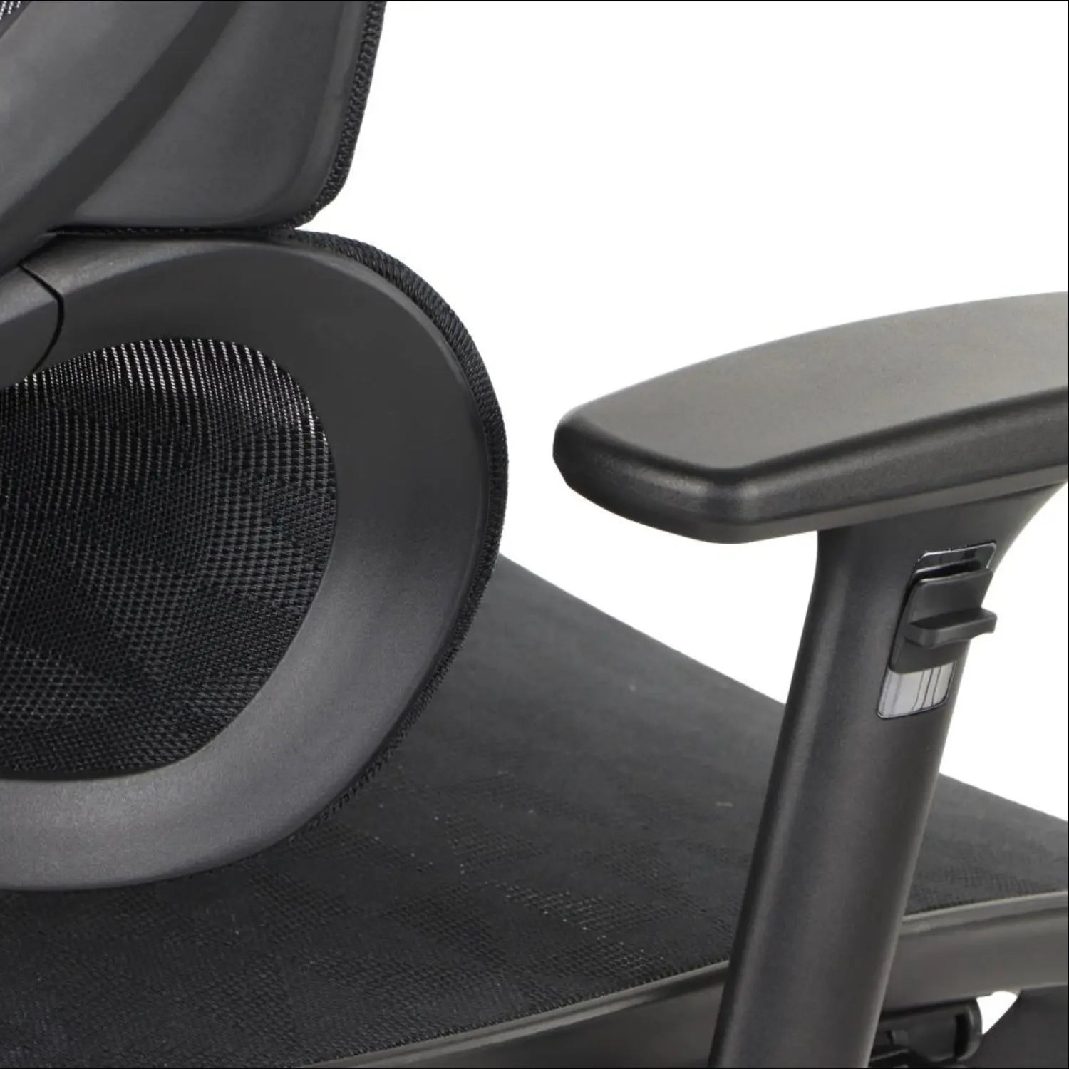 Ergonomic Office Chair ErgoNew S1