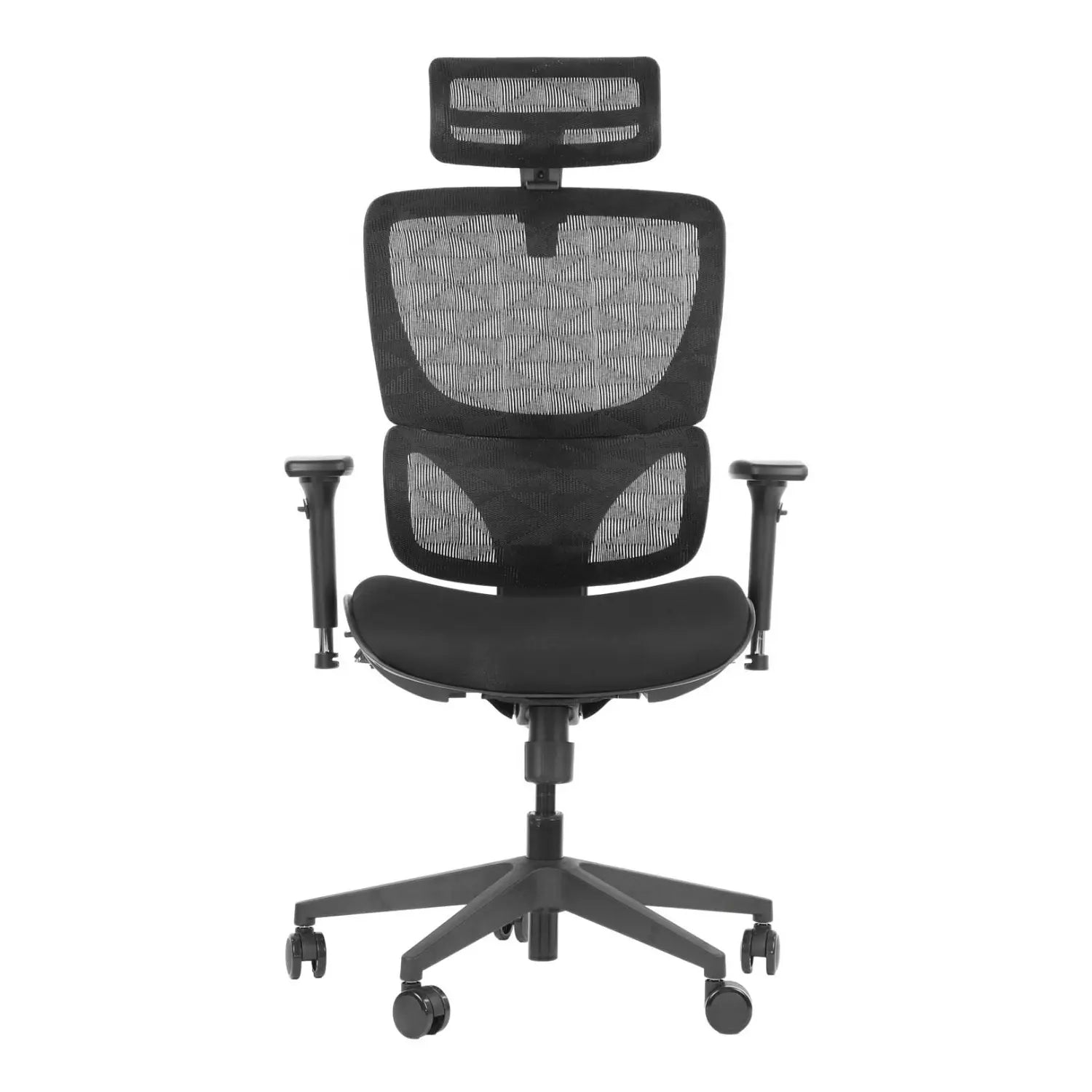 Ergonomic Office Chair ErgoNew S1
