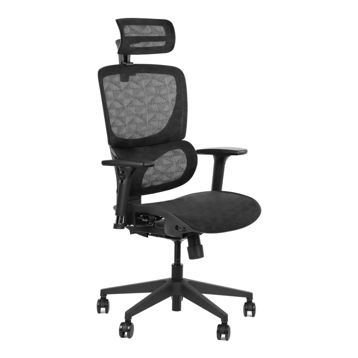 Ergonomic Office Chair ErgoNew S1