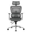 The product is an ergonomic office chair, specifically the Apollo Plus model. The chair features a modern design with a mesh back and seat for breathability, adjustable armrests, and a headrest. It is supported by a chrome base with rolling casters for mobility.