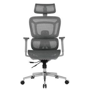 The product is an ergonomic office chair, specifically the Apollo Plus model. The chair features a modern design with a mesh back and seat for breathability, adjustable armrests, and a headrest. It is supported by a chrome base with rolling casters for mobility.
