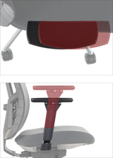 Ergonomic Office Chair Akcent PLUS
