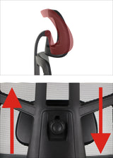 Ergonomic Office Chair Akcent PLUS