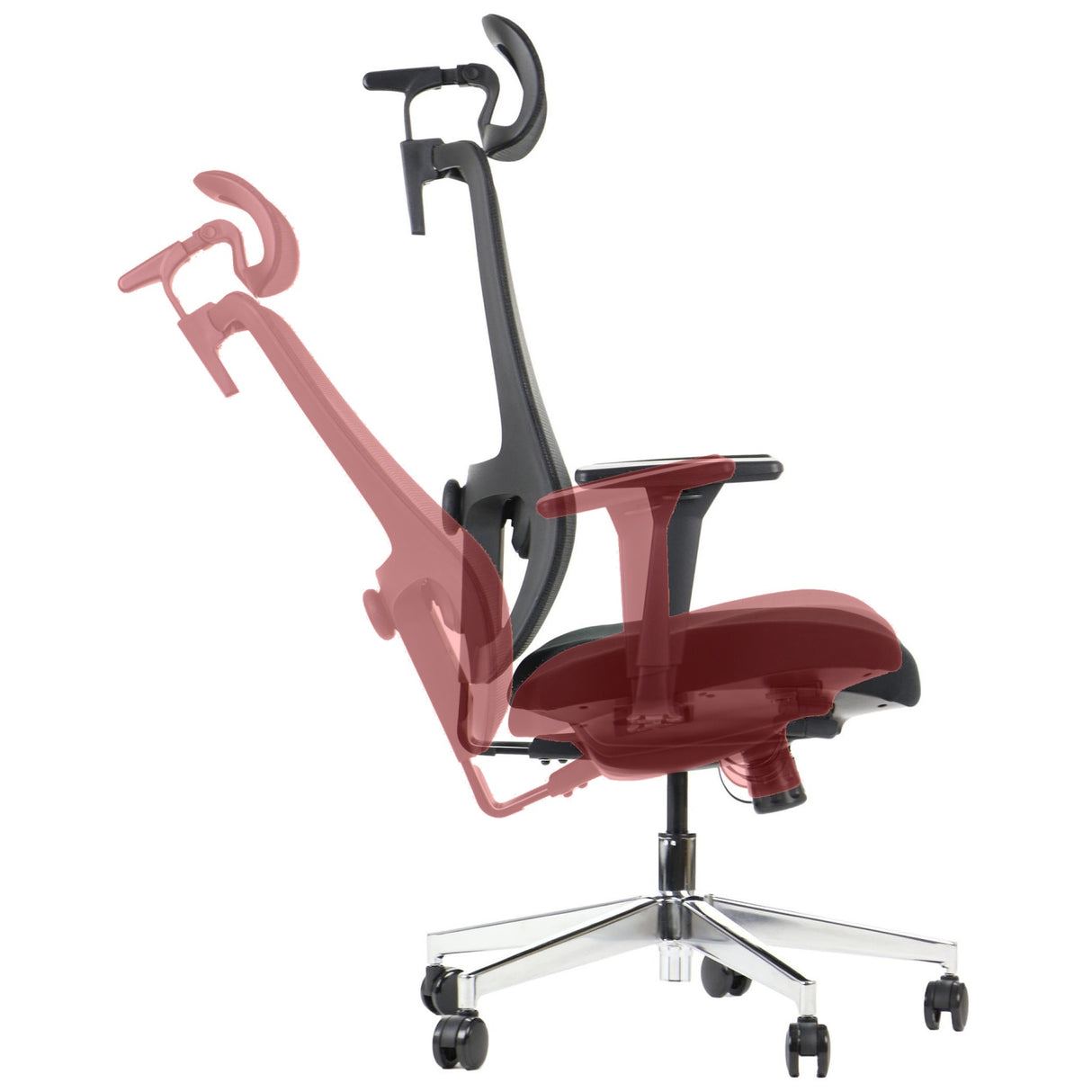 Ergonomic Office Chair XELO