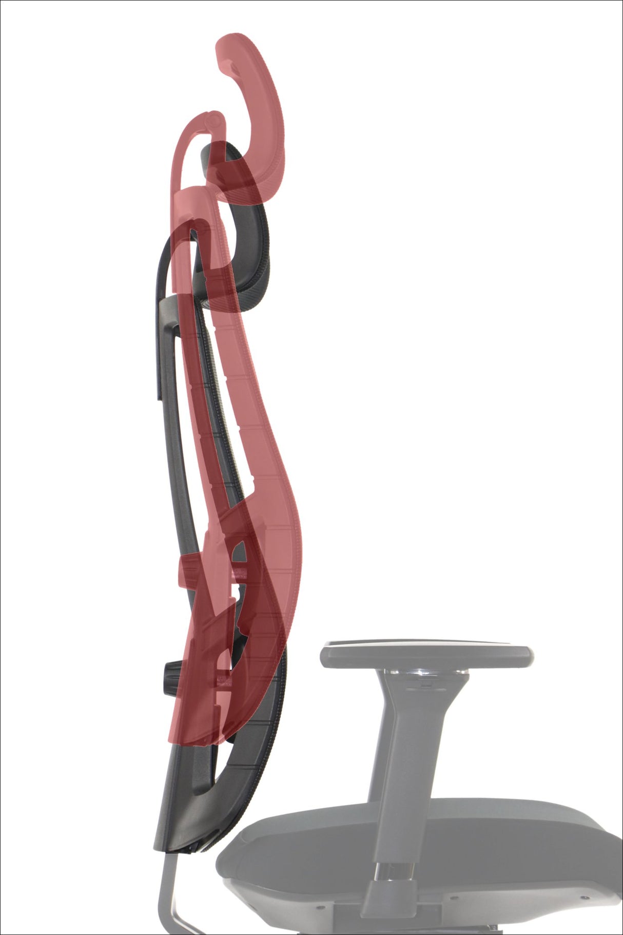 Ergonomic Office Chair Akcent PLUS