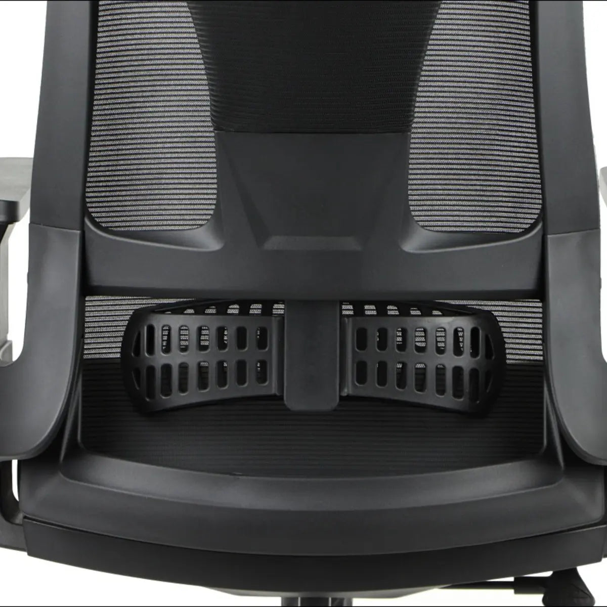 Ergonomic Chair OLTON H