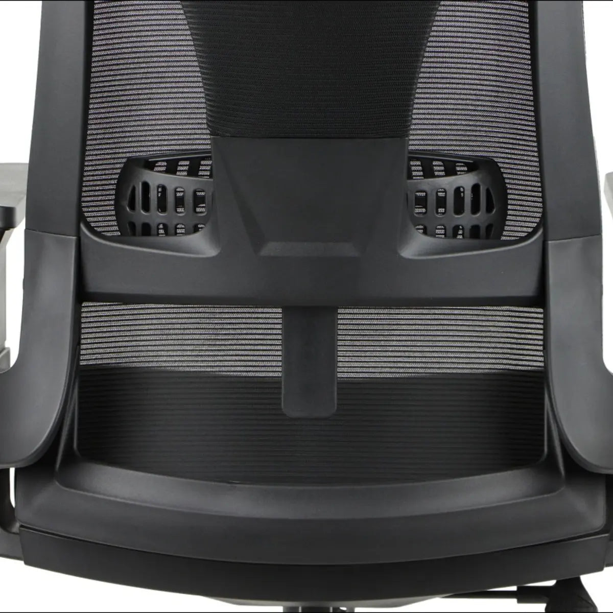 Ergonomic Chair OLTON H