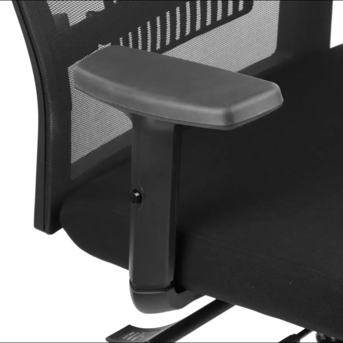 Ergonomic Chair RIVERTON