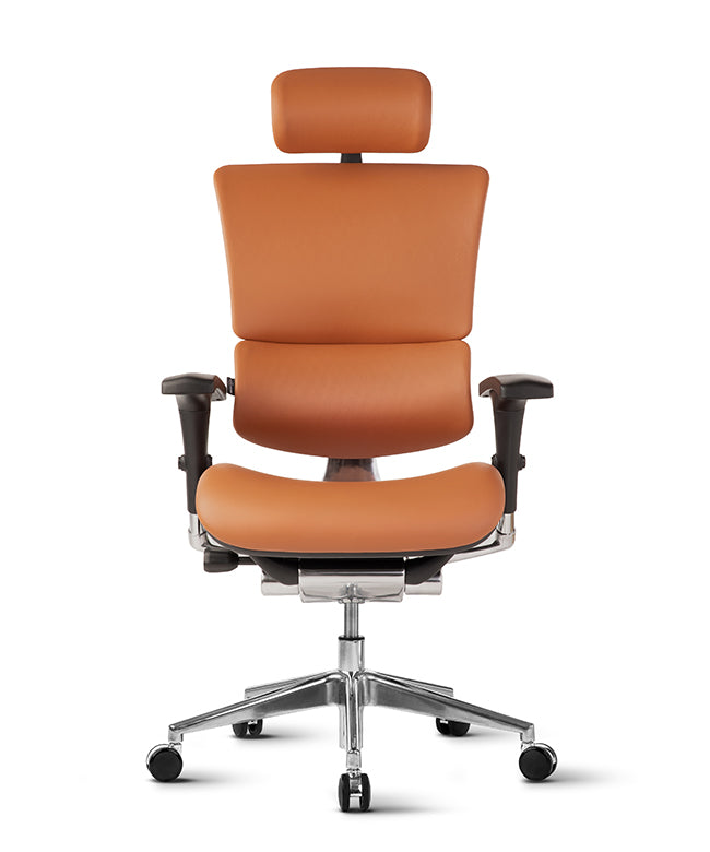 Ergonomic Office Chair Smart Deluxe