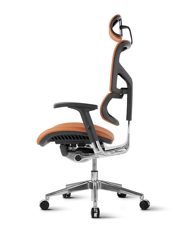 Ergonomic Office Chair Smart Deluxe