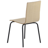 Conference Chair Werdi B