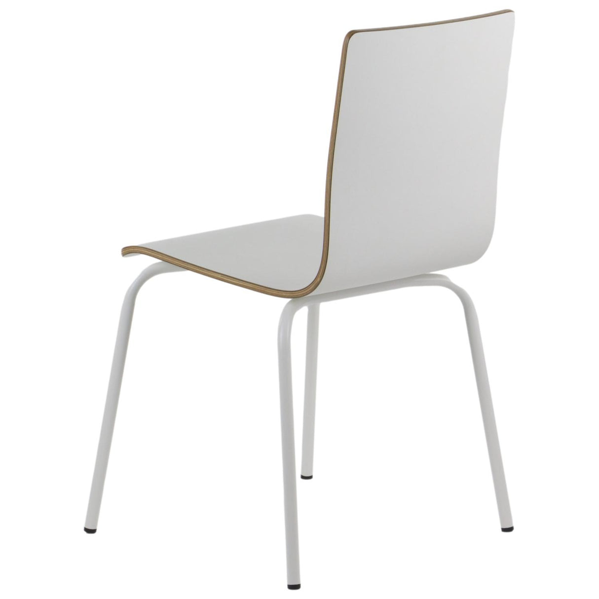 Conference Chair Werdi B