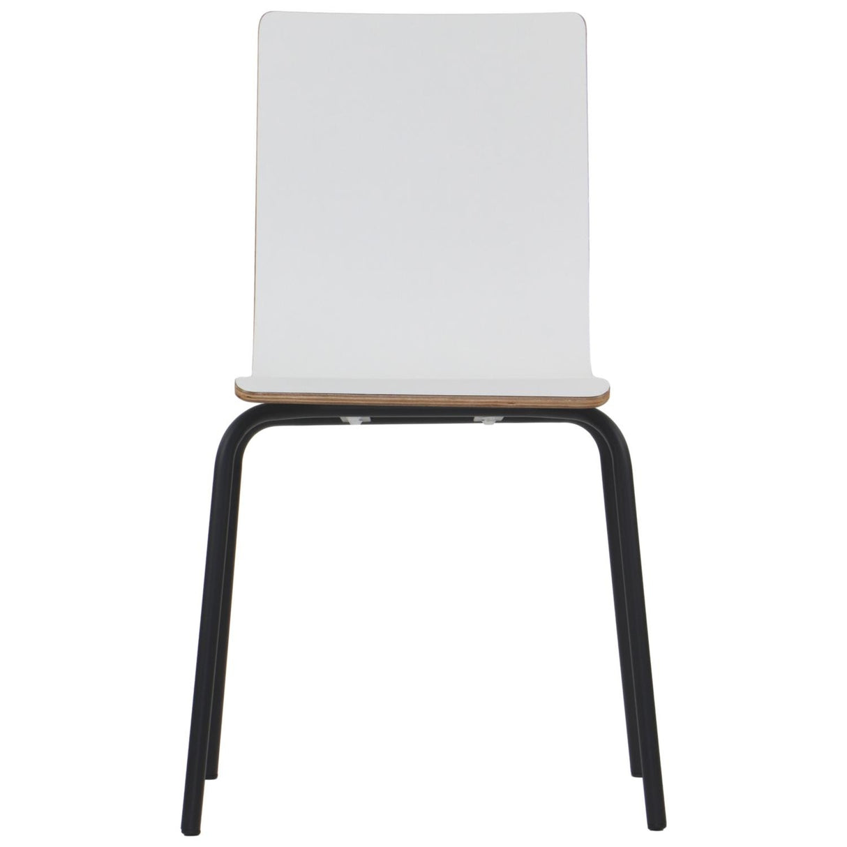 Conference Chair Werdi B