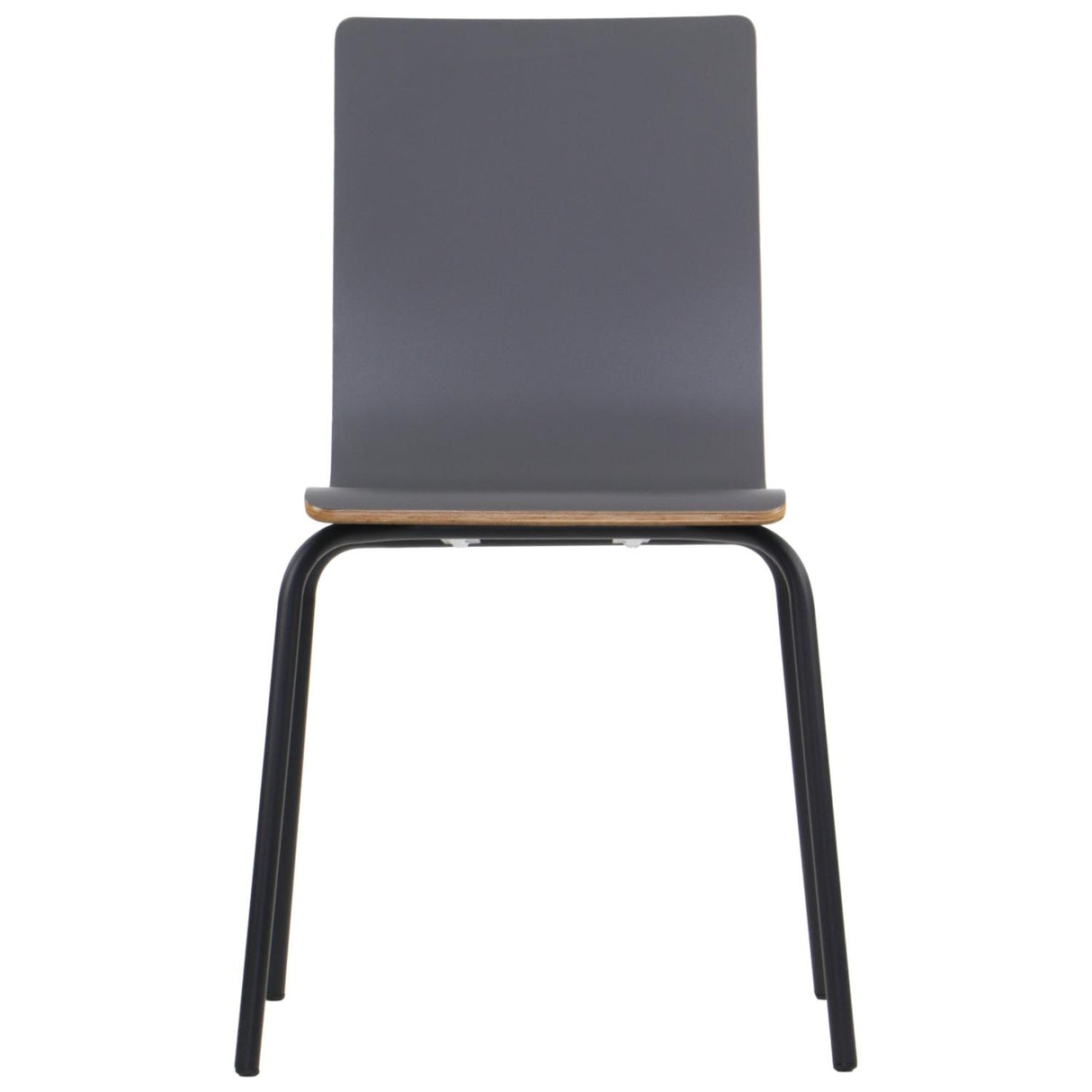 Conference Chair Werdi B