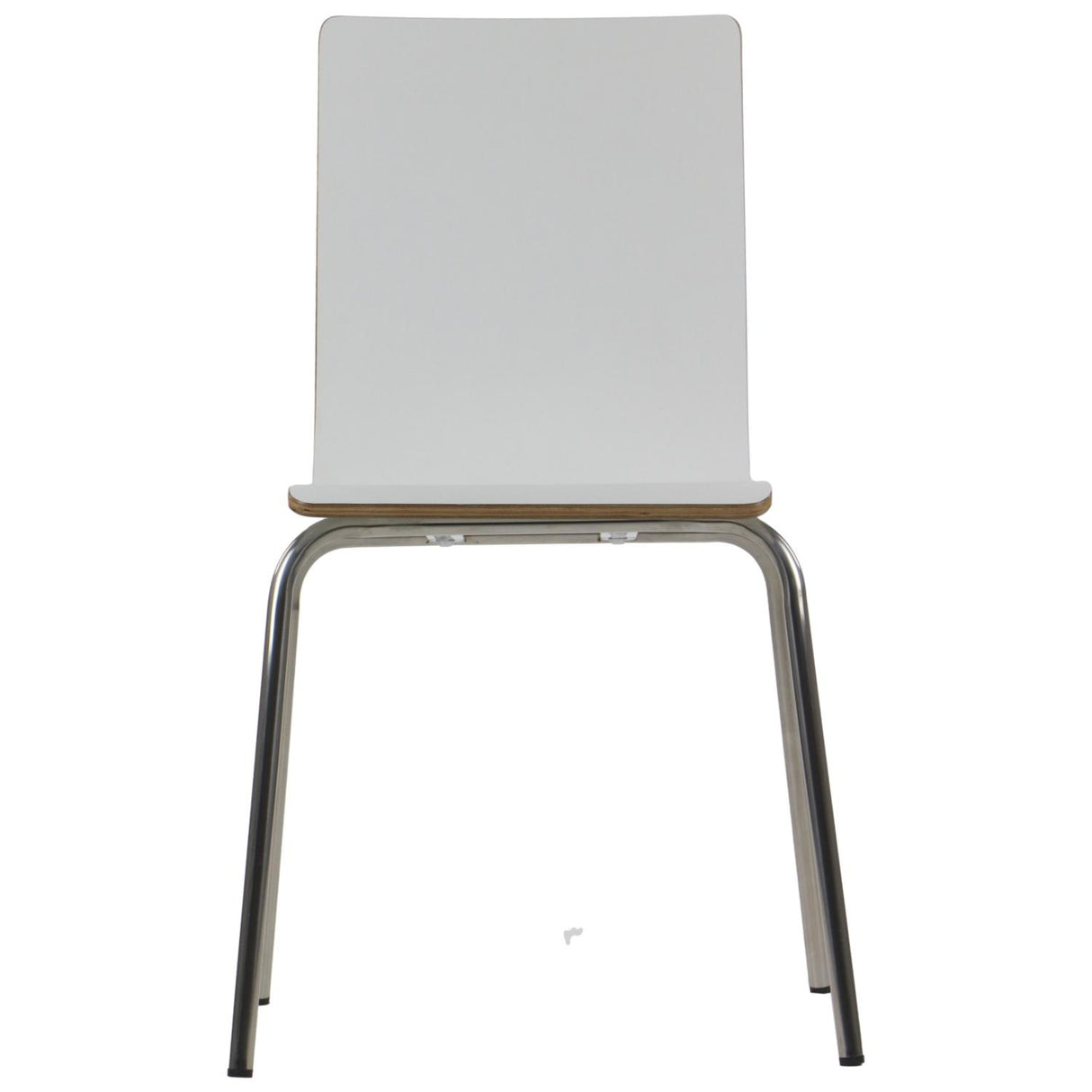 Conference Chair Werdi B