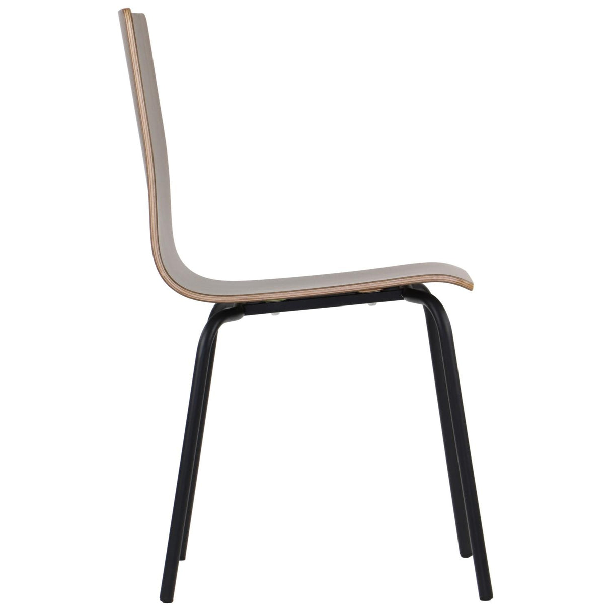 Conference Chair Werdi B