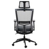Ergonomic Office Chair HOPE